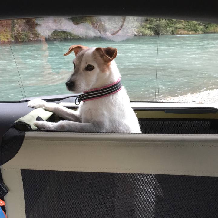 C361e2e7 cf87 4985 88d6 1e9b5b5f27ef