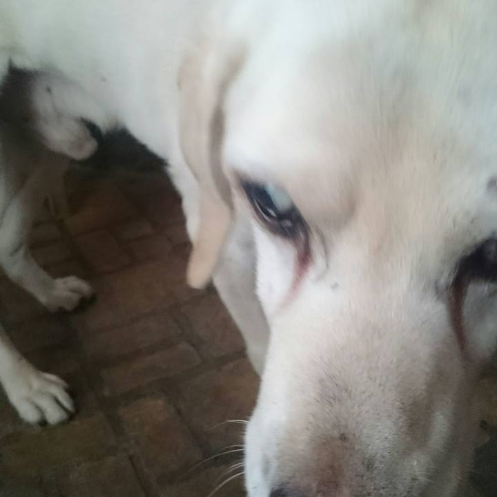 C3620c20 d404 48b2 9c30 222ff68fef05