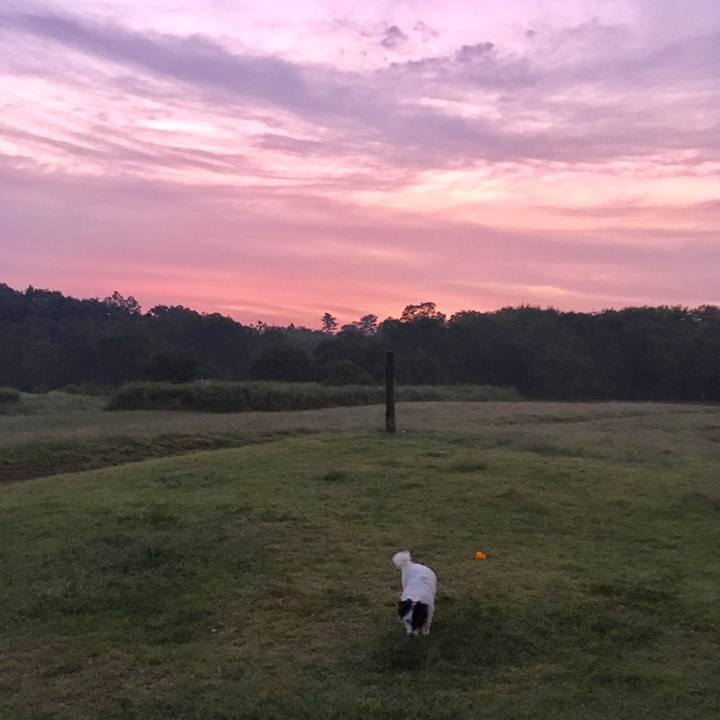 C3630d0d 7176 4f28 97e7 c282d6804625