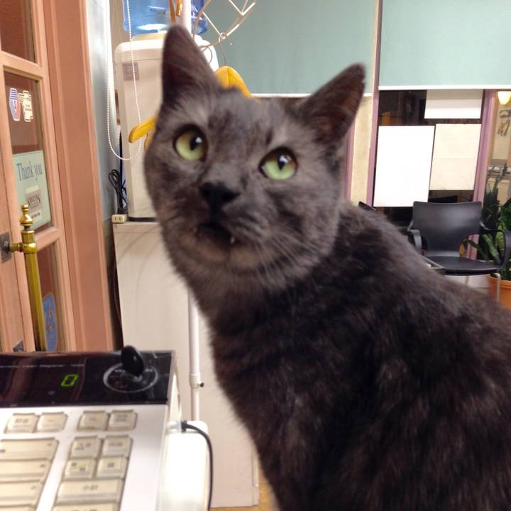 C363a444 51f9 4c34 842f 67b2b05bd1fd