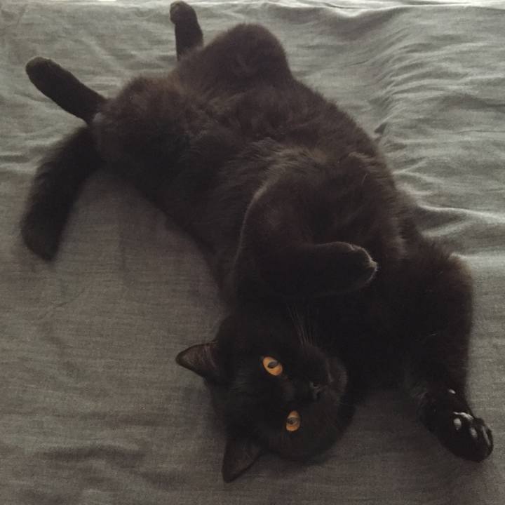 C363f9bd 358a 4bb2 9e31 d610be5ee48e