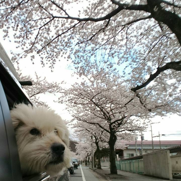 C36403c6 389b 49e0 9fb1 d43c61614295