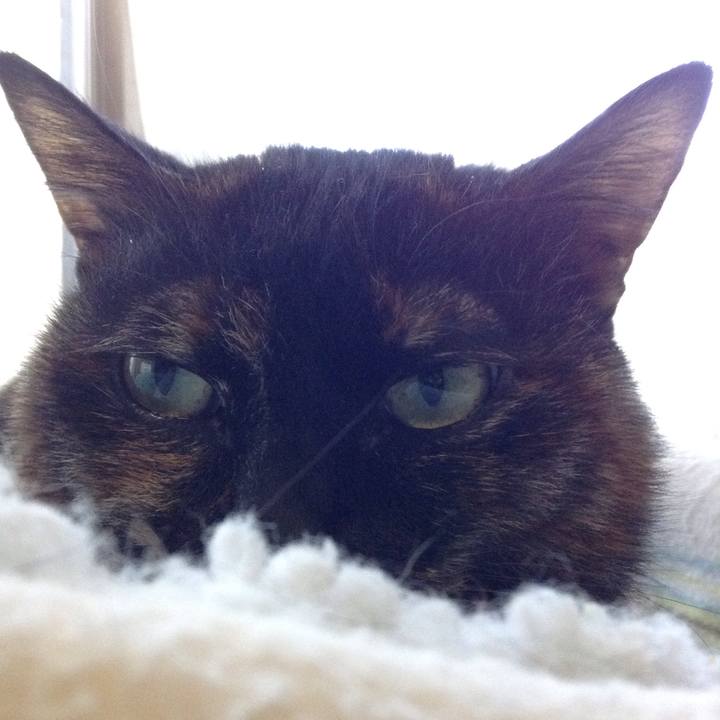 C364d83b 95bc 4769 b1e8 1dcb7472576a