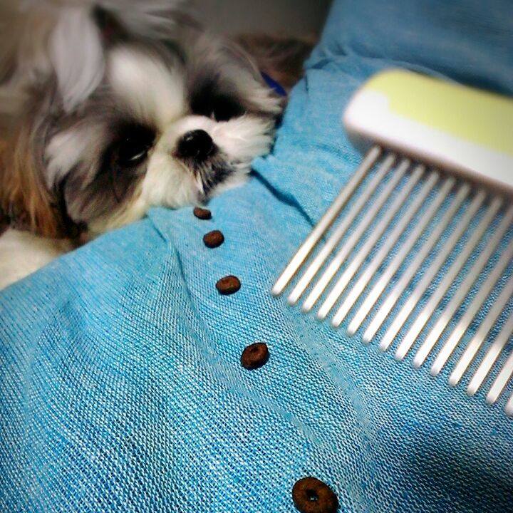 C3660e25 176b 4dbd b7b0 9ad615a7de8c