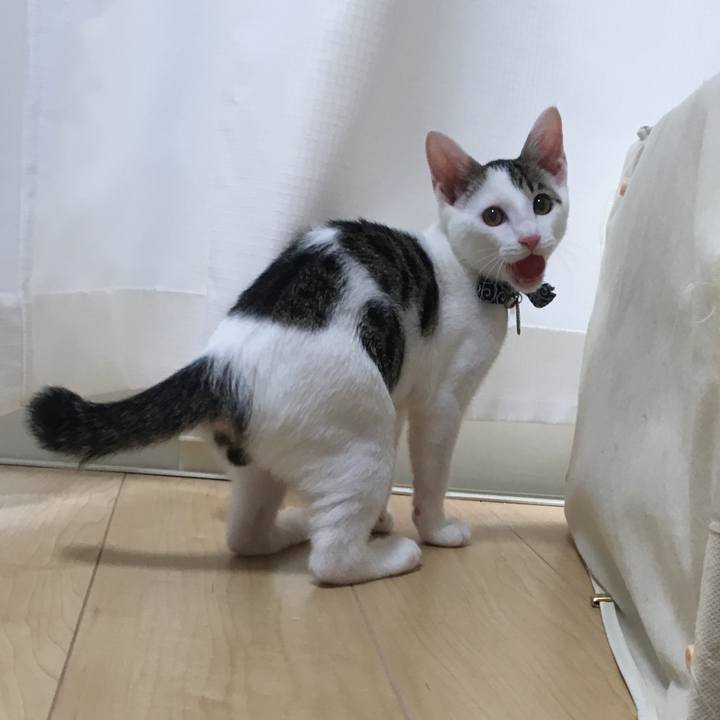 C366a57d 8d07 4a75 8754 a9a3ab17941a