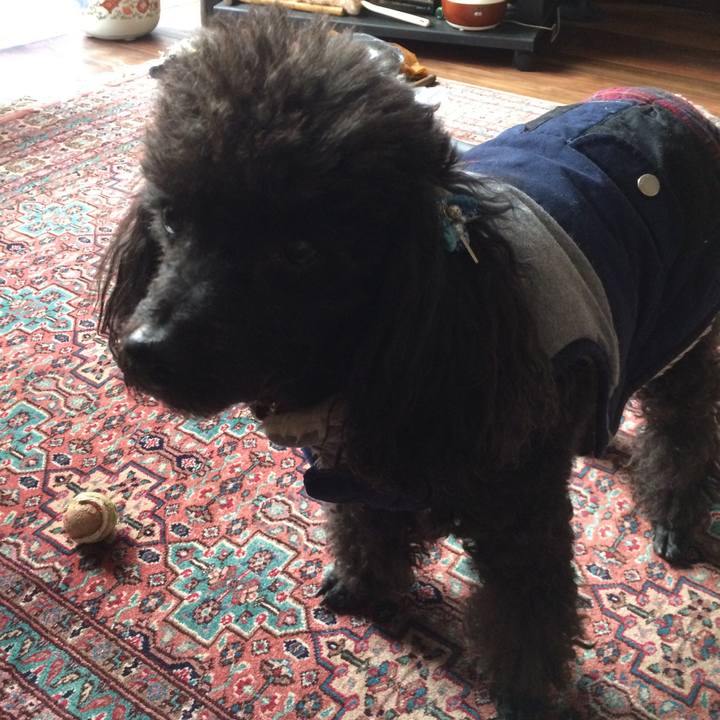 C366e9a3 d357 4387 8d70 6d1624780cf6