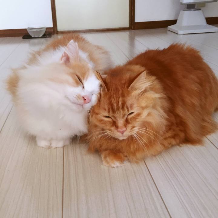 C36792a6 b346 4f6a a2c6 21d52816f6c1