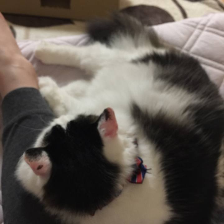 C3680e30 6783 4caa 94a8 1efa8463a93a