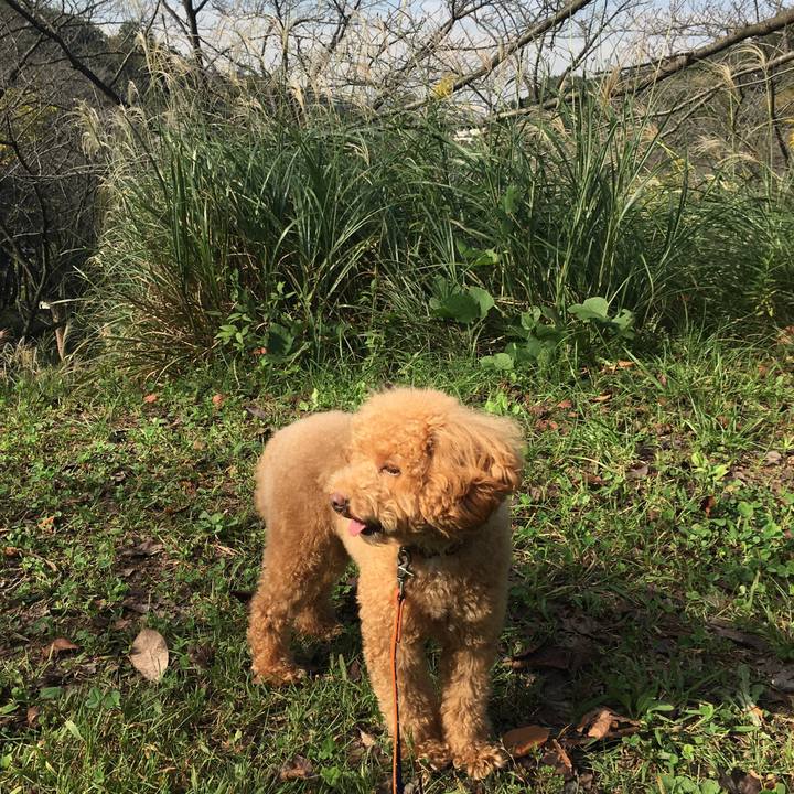 C3686069 e3bb 4327 b7e6 7f5125b56838