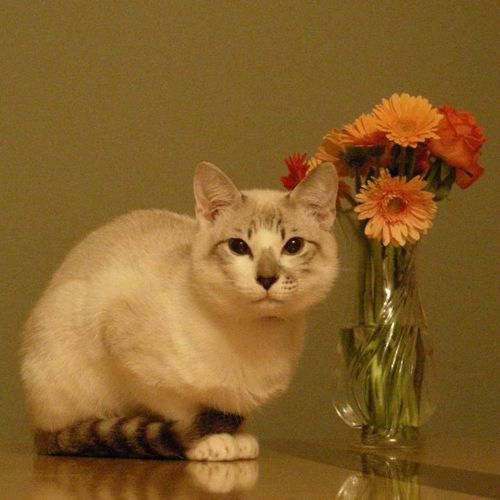 C36867cb 1d47 4f09 bf1b be9f89fc45cf