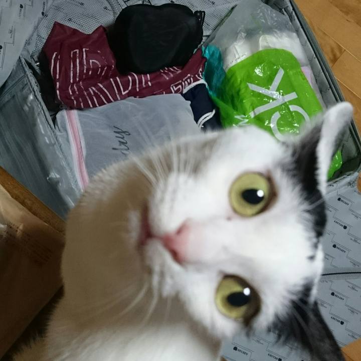 C368b0e7 312f 4230 a5ba a32a1ff2e622