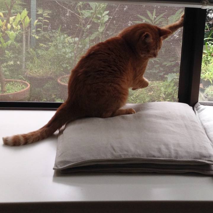 C368e95d cc19 4e1f bf38 0de64b7e22b5