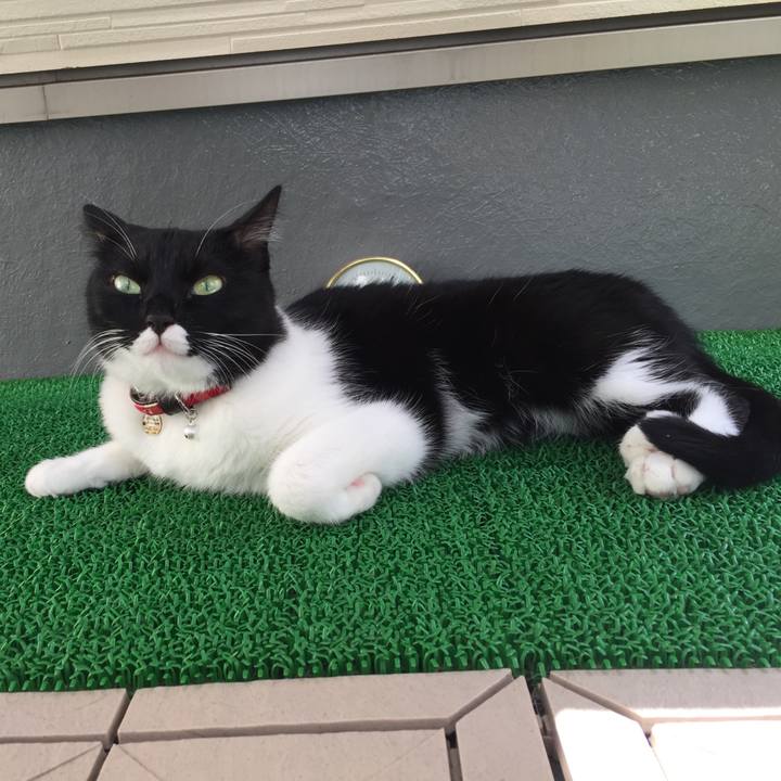 C3697d95 653c 4532 b1af 361a4941a183