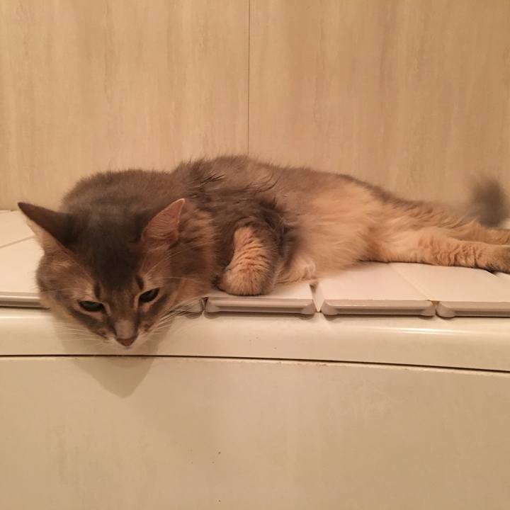 C36aab30 3072 420e 9bbf 8f7817b51c9c