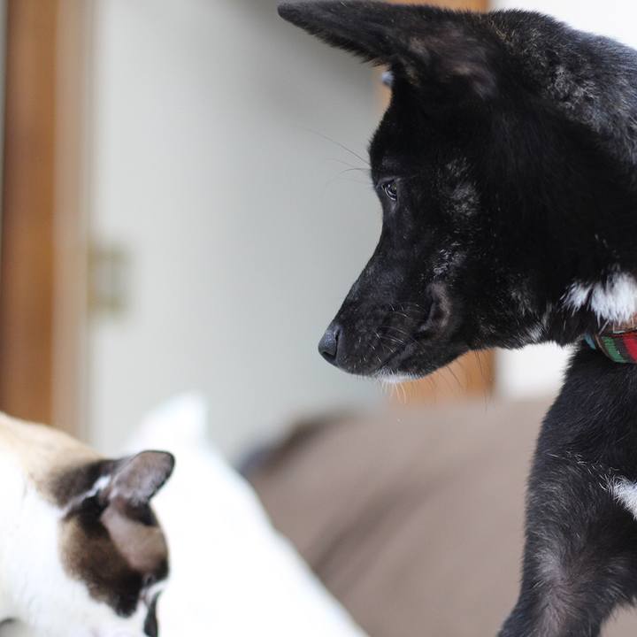 C36abd70 ffe4 4dd4 b2df 4334217b3c64