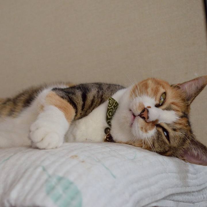 C36b1248 012f 487c ac09 632a21920bc1