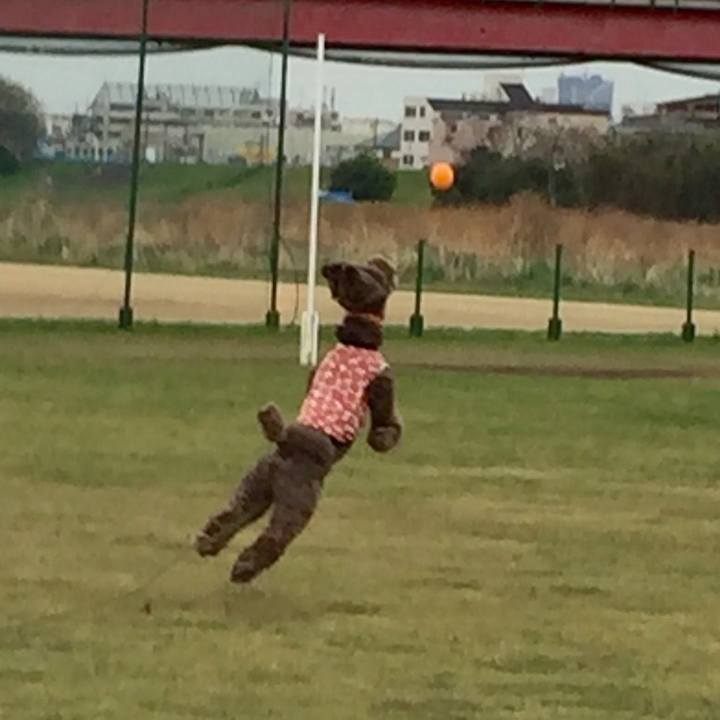 C36b770e 3e3b 42c1 aa84 cf9e641b3cd2