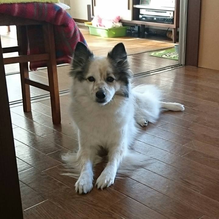 C36c1271 31f9 4db6 8210 265b03bdccc7