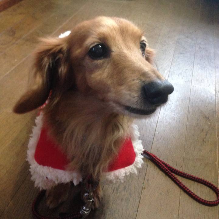 C36c548e 64b0 464c 942f 4c90aae289ee