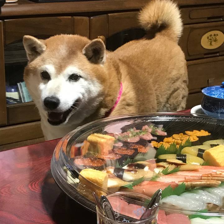 C36c9f53 63aa 4615 b50b 5816552dfdc8