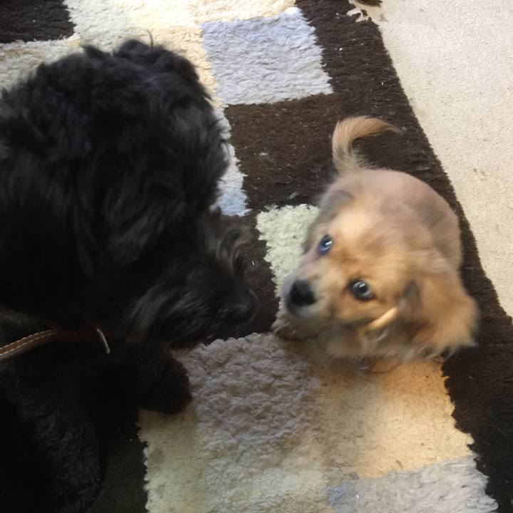 C36d099e e7d1 4b94 a4b2 1c521e4925bd