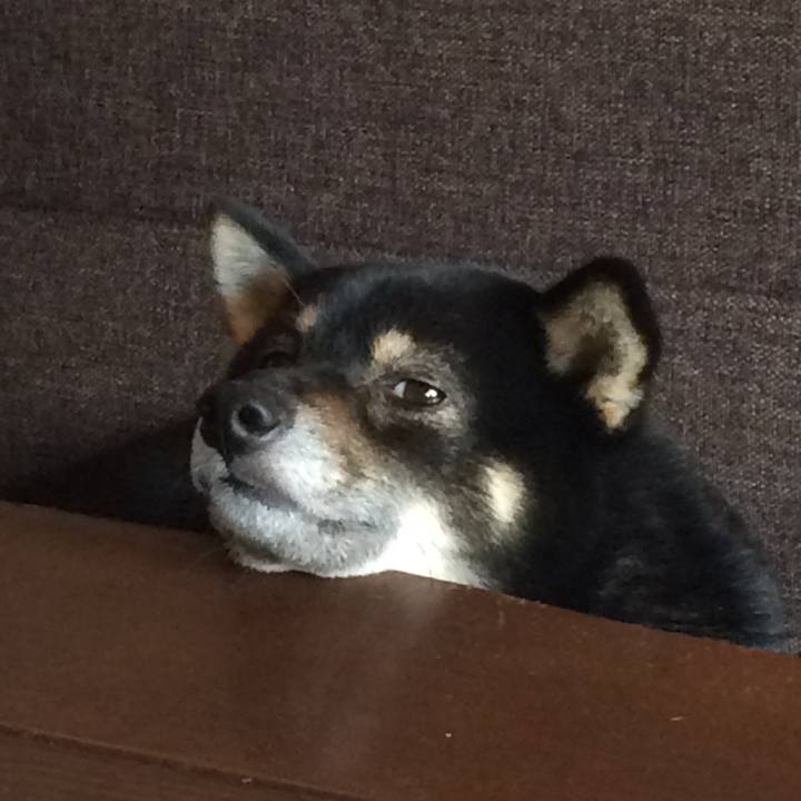 C36d2390 a9fe 43df 8cfe c8d007cf04be