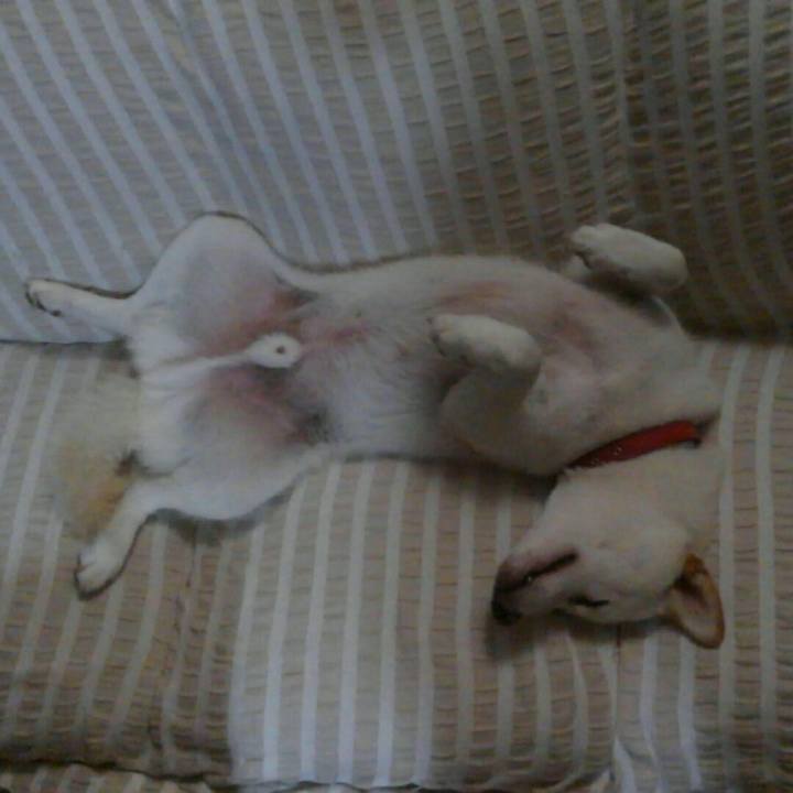 C36d3225 4cc9 40a1 a6e3 c5cd6b71075e