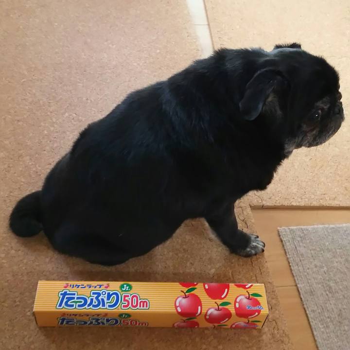 C36d3d75 2aba 41a0 9b93 07e47ffad6f1