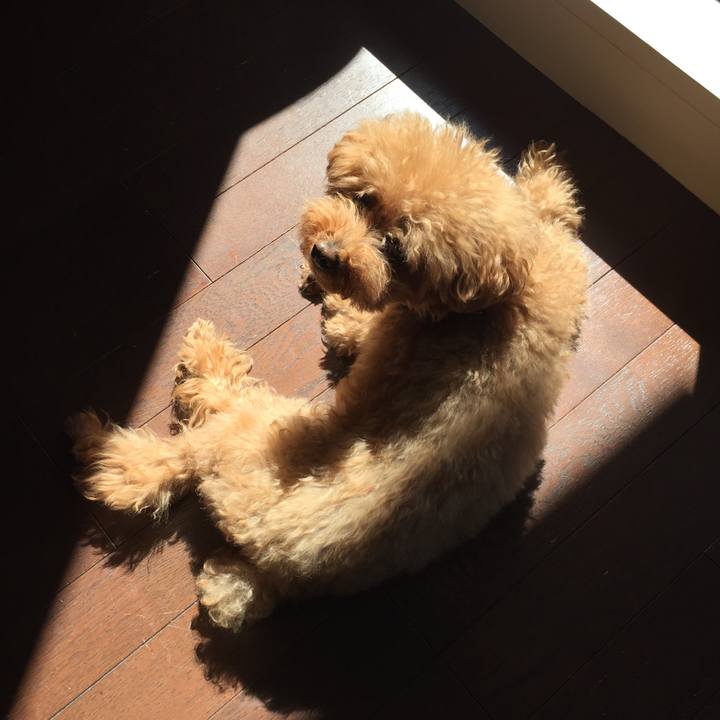 C36d5de0 c658 43d7 980a a8dab7fed289