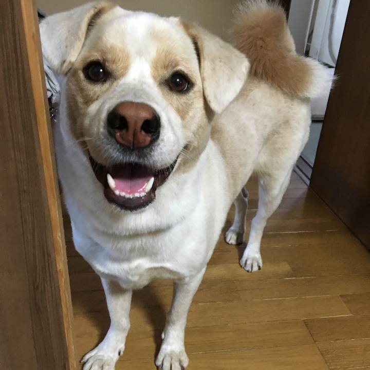 C36d741d 8003 4883 912b bd8ec19cb22f