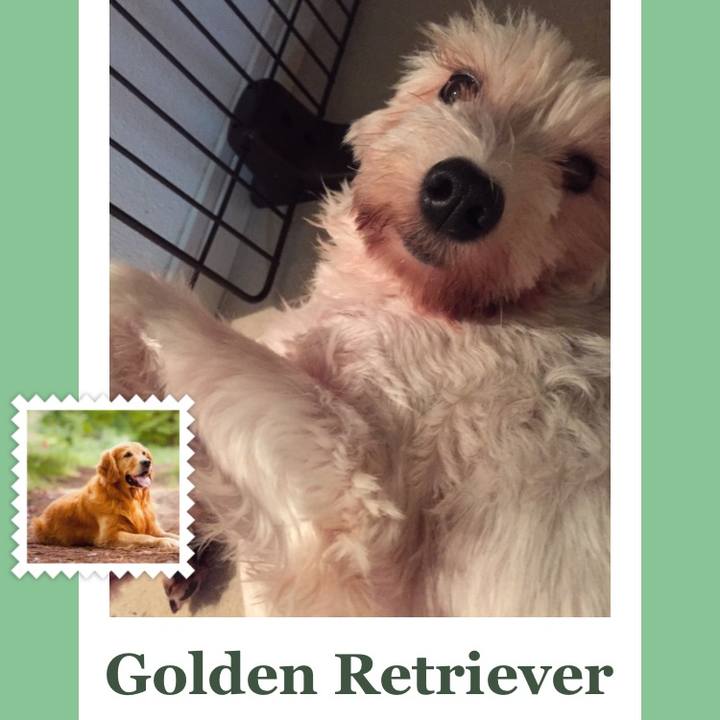 C36d757c 18c1 47ec b06c 36d13609b13b