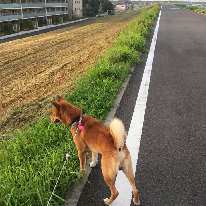 C36dcf27 8465 4b57 b7be 4149d4b50592