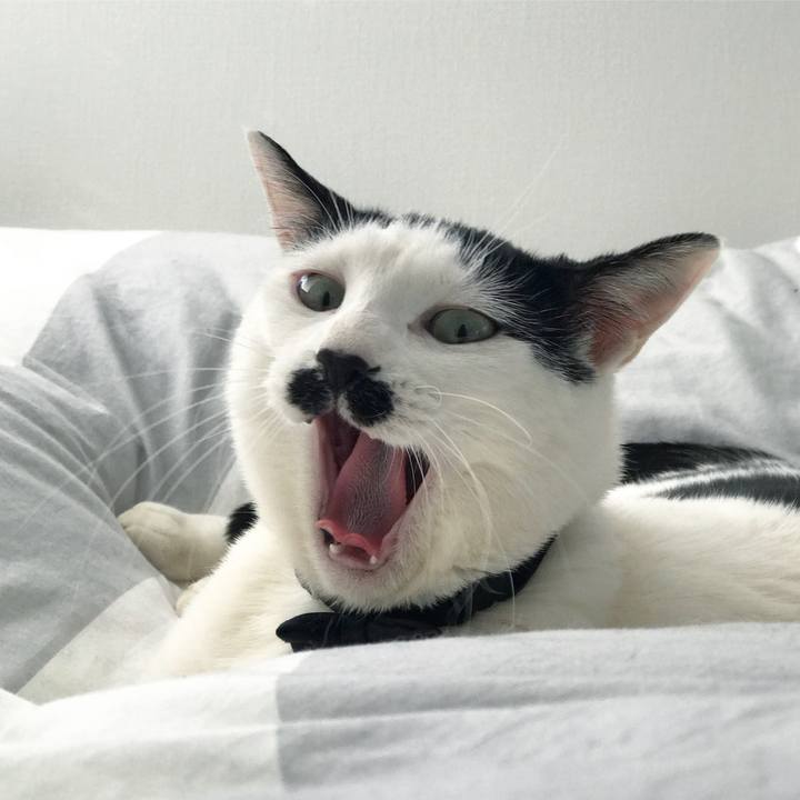 C36e01e2 ef87 4a3f 8a23 4fb2244d83f6