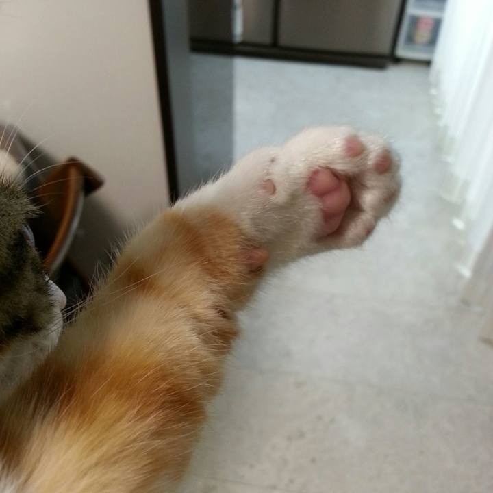 C36e06d1 c5de 4634 af33 6c37c362054e