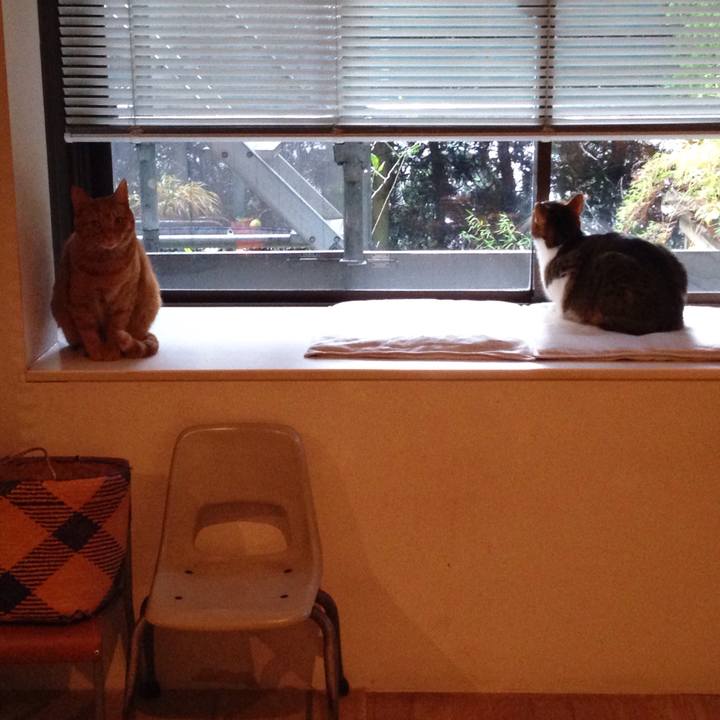 C36e2260 0da8 4886 b84e dfe8ea874137