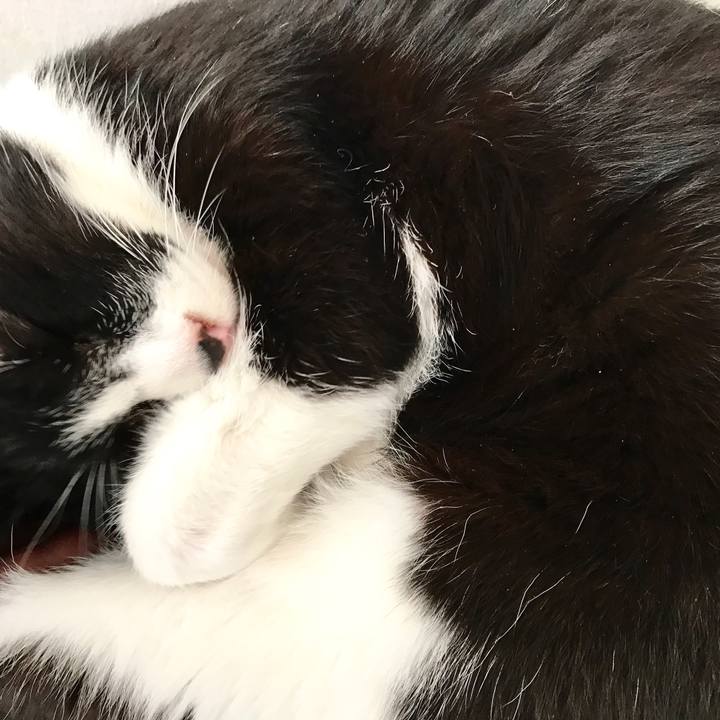 C36e3c6e 2b5b 4495 8b13 8193ac870678