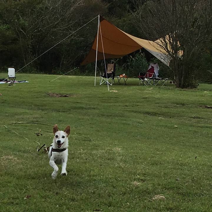 C36e7f80 523c 4b36 bd2f b29b50ad487c