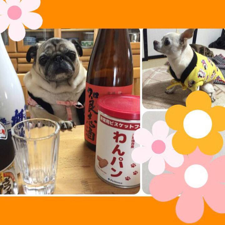 C36f09a6 275c 4a84 9c86 05440c018b07