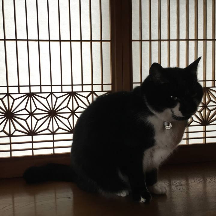 C36f334a d05d 4cae 8b74 47e6d41434f1