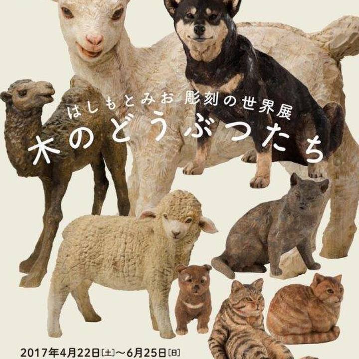 C36f564d 9a5c 4c84 b096 96a3c7f7edef