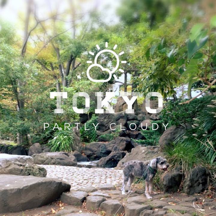 C370034b 303a 4d51 af7c e2795ffee0a5