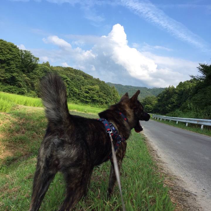 C3700938 8be3 4df6 ba01 6728a9e3777a