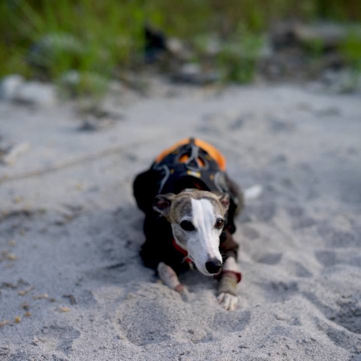 C3709c24 2c02 4889 aa47 89cec9b4df12