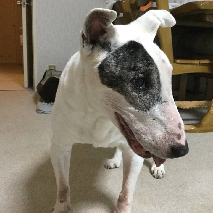 C3716094 2b1e 40ec a2e9 25e114457f59