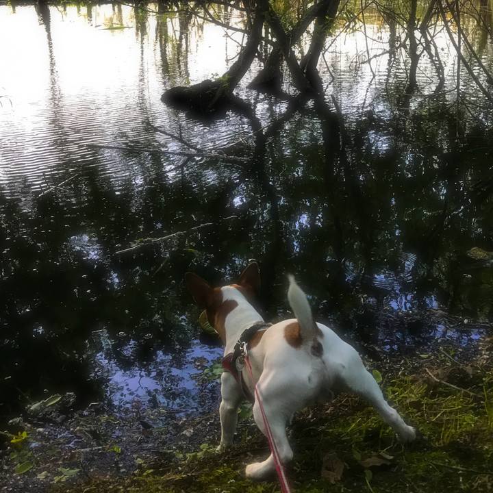 C371c73f c347 4d07 8b00 e2da2413176f