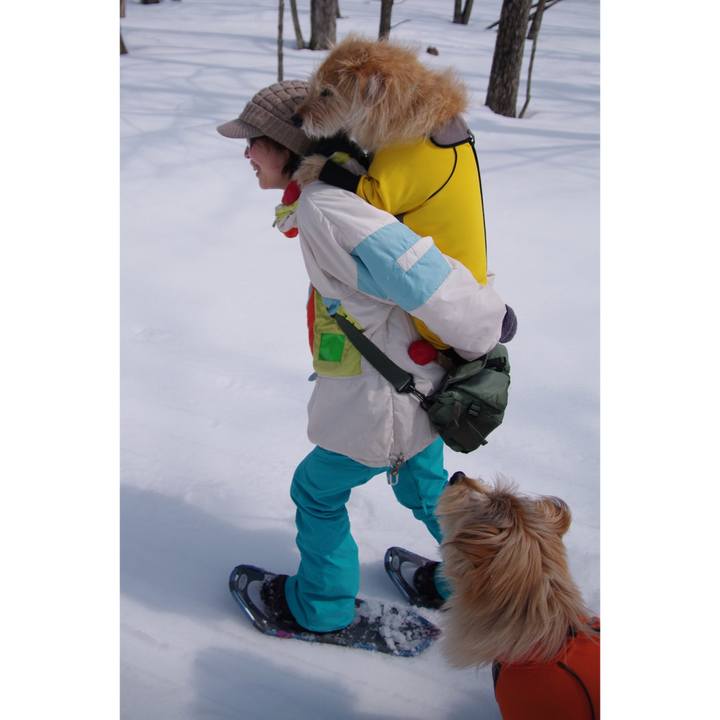 C371d7d2 3ab0 4136 b66f 175aa526aac3