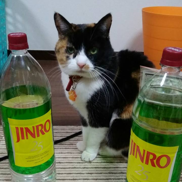 C371f657 8a34 4966 83a0 6d84915b9605