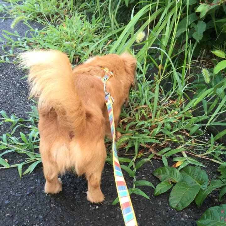 C37297f6 3211 46a5 8926 cb65d929a7b9