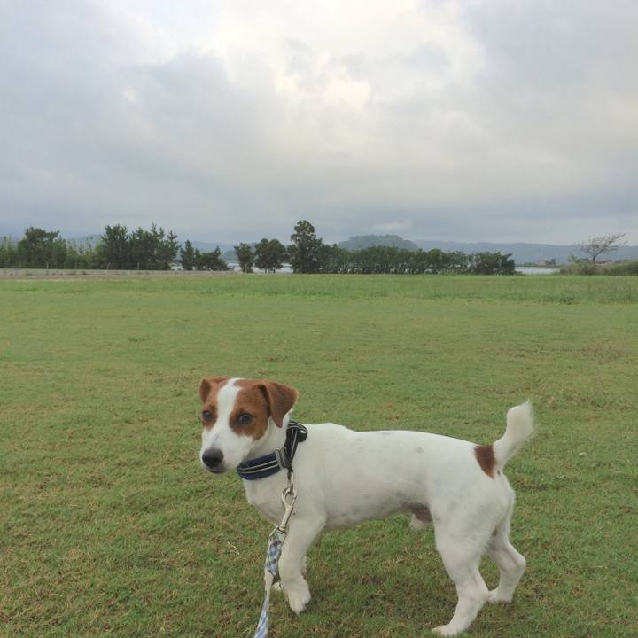 C372bde8 e0d4 437f a000 e42e3702f4f4