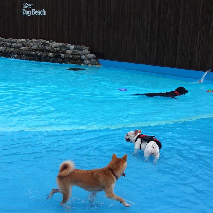 C3731b2a e38f 44db 99c4 4f80f3e1fa88